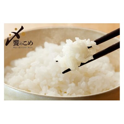 【期間限定発送】 米 令和7年 2kg ×4種 計 8kg 精米 食べ比べ [38601091]