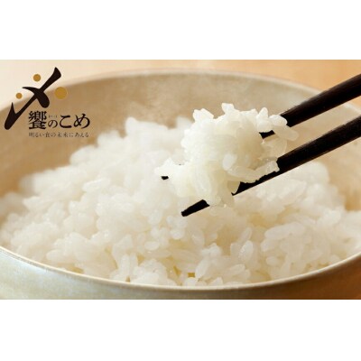 【期間限定発送】 米 令和8年 2kg ×4種 計 8kg 精米 食べ比べ [38601091]