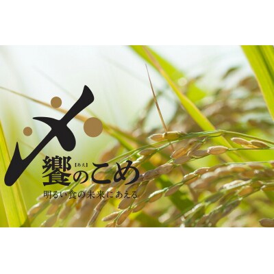 【期間限定発送】 米 令和8年 2kg ×4種 計 8kg 精米 食べ比べ [38601091]
