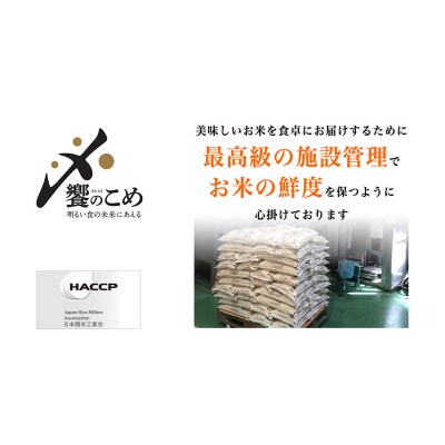 米 令和7年 石川県産米 5kg×4種 計 20kg 精米 食べ比べ [38601112]