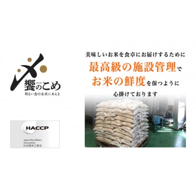米 令和7年 石川県産米 5kg×4種 計 20kg 精米 食べ比べ [38601112]