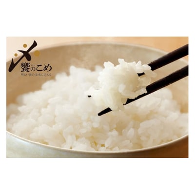 米 令和7年 石川県産米 5kg×4種 計 20kg 精米 食べ比べ [38601112]