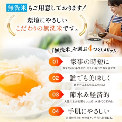 【6回 無洗米 定期便 】石川県産 こしひかり 5kg×6回 総計30kg [38601337]