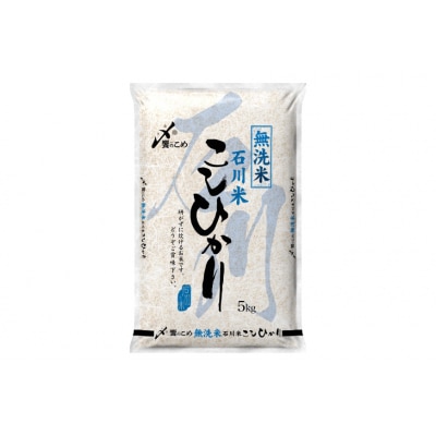 【12回 無洗米 定期便 】石川県産 こしひかり 5kg×12回 総計60kg [38601338]