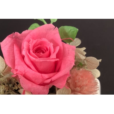 花 プリザーブドフラワー アレンジ スモール ばら1輪 紫陽花 など [38601339] 