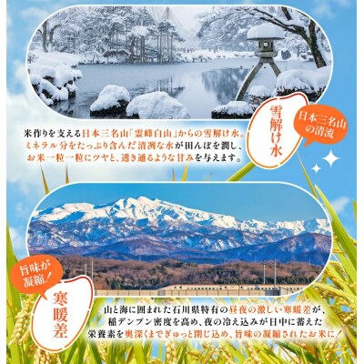 米 定期便 無洗米 ひゃくまん穀 5kg × 12回 総計60kg [38601384]