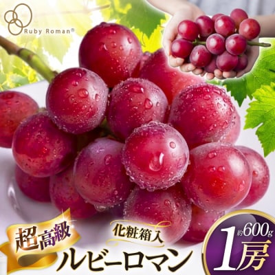 【期間限定発送】 超高級 ぶどう ルビーロマン 1房 約600g 化粧箱入 [38601393]