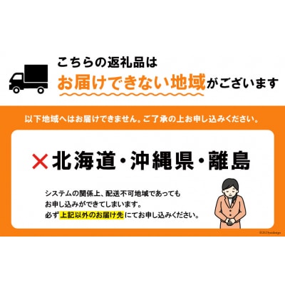 【期間限定発送】 超高級 ぶどう ルビーロマン 1房 約600g 化粧箱入 [38601393]