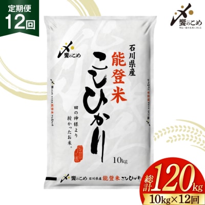 米 定期便 能登米 こしひかり 10kg 12回 総計120kg [中橋商事 38601406]