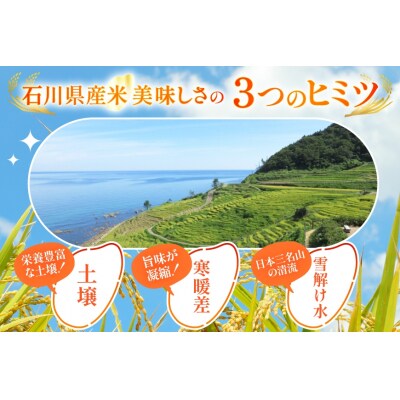 米 定期便 石川のお米 食べ比べ 5kg 3回 総計15kg こしひかり [38601399]