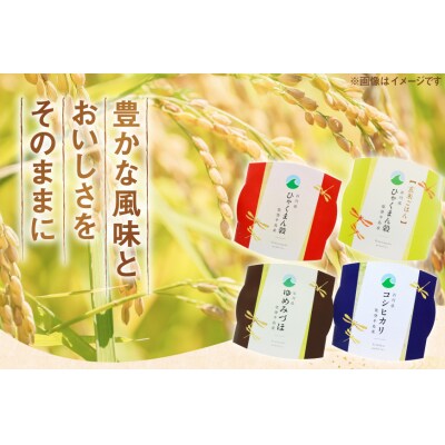 石川県産米 食べ比べ パックご飯 4種アソート セット コシヒカリ [38601392]
