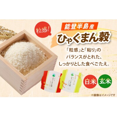 石川県産米 食べ比べ パックご飯 4種アソート セット コシヒカリ [38601392]