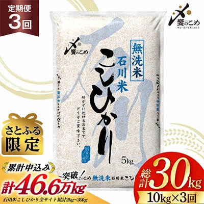 米 定期便 無洗米 石川米 こしひかり 10kg ( 5kg 2袋) 3回 [38601402]