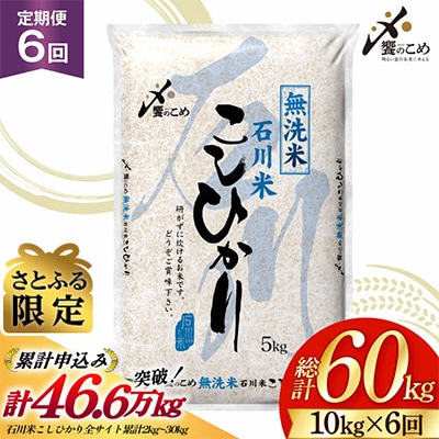 米 定期便 無洗米 石川米 こしひかり 10kg ( 5kg 2袋) 6回 [38601401]