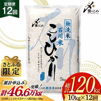 米 定期便 無洗米 石川米 こしひかり 10kg ( 5kg 2袋) 12回 [38601400]