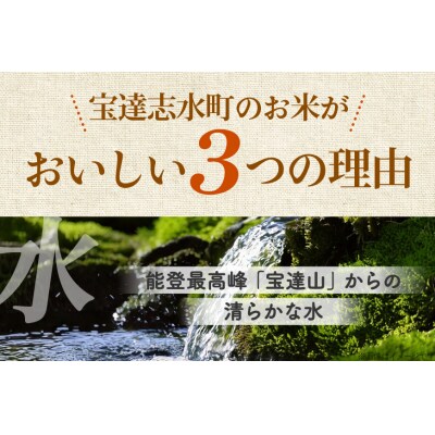 【期間限定発送】 米 定期便 コシヒカリ 白米 5kg 6回 総計 30kg [38601176]