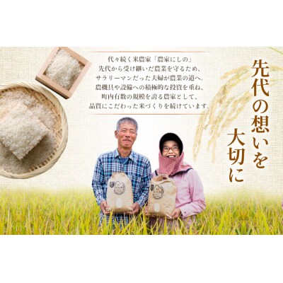 【期間限定発送】 米 定期便 コシヒカリ 白米 5kg 12回 総計 60kg [38601409]