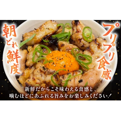 ホルモン 味付き能登豚ホルモンミックス 150g × 3パック [38601396]