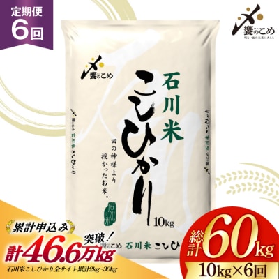 米 定期便 石川米こしひかり【穂立】10kg×6回 総計60kg [38601404]