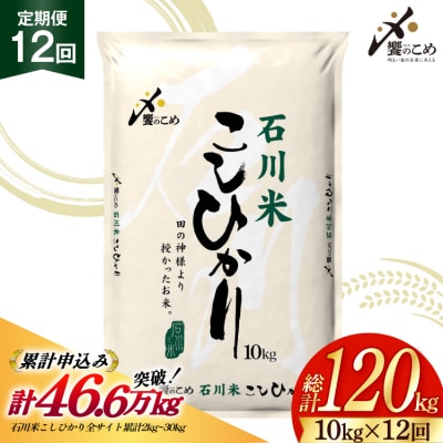 米 定期便 石川米こしひかり【穂立】10kg×12回 総計120kg [38601403]