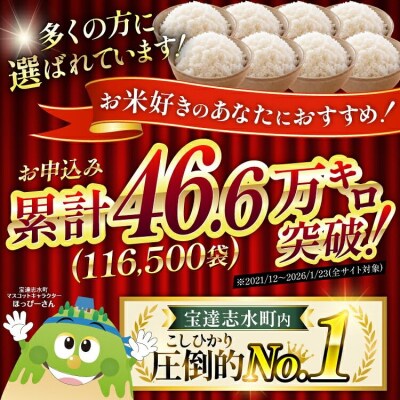 米 定期便 石川米こしひかり【穂立】10kg×12回 総計120kg [38601403]
