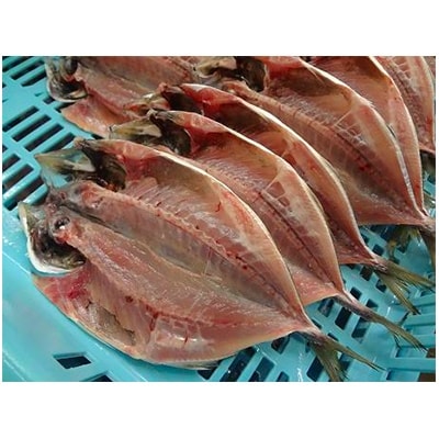 おさかな村”厳選大あじ干物”8枚セット(約1,800g)