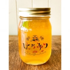 高知県産天然はちみつ500g【最高蜂】 | ふるさと納税のお礼品