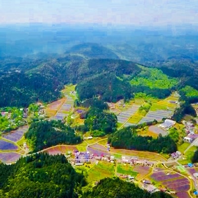 山ちゃんの無添加・ノンアルコール甘酒×3本セット