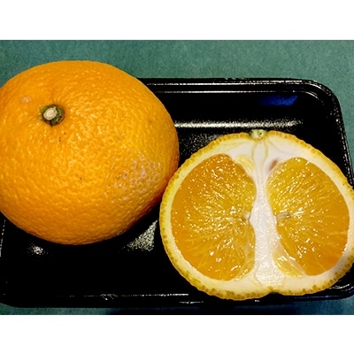 長崎県産　訳ありスイートスプリング10kg