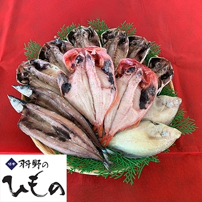 沼津ひものギネス世界記録tm町おこしニッポン認定記念セット 銘茶干しセットv 4種12尾 お礼品詳細 ふるさと納税なら さとふる