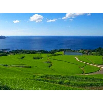 佐渡金山相川米2kgと高千海風たっぷり干し椎茸100gセット