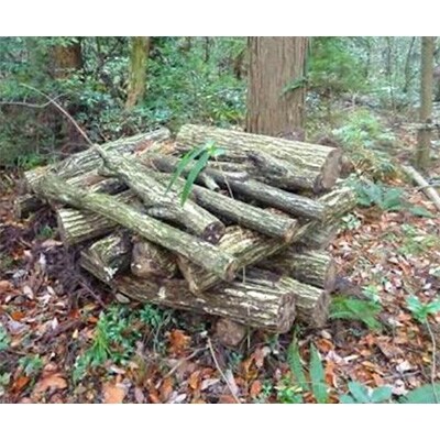 佐渡金山相川米2kgと高千海風たっぷり干し椎茸100gセット