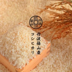 令和5年産新米 【有機栽培米】丹波篠山産コシヒカリ 玄米 2kg | お礼品