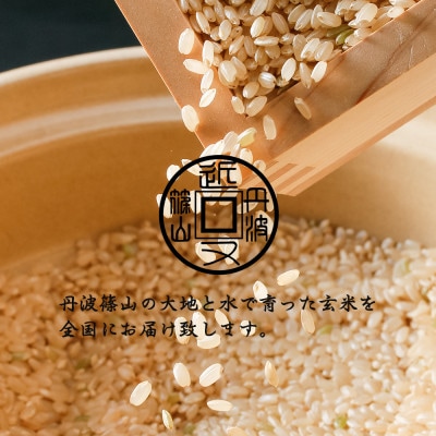 令和6年産　【有機栽培米】丹波篠山産コシヒカリ　玄米　2kg 3袋