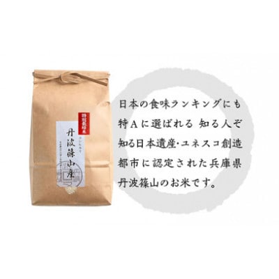 令和6年産　特Aランク米【特別栽培米】丹波篠山産コシヒカリ　2kg5袋