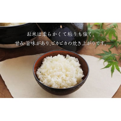 令和6年産　特Aランク米【特別栽培米】丹波篠山産コシヒカリ　2kg5袋
