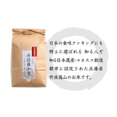 令和6年産　特Aランク米【特別栽培米】丹波篠山産コシヒカリ　20kg