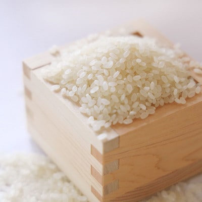 令和6年産　【有機栽培米】丹波篠山産コシヒカリ　白米　2kg×5袋