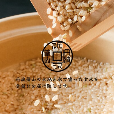 令和6年産　【有機栽培米】丹波篠山産コシヒカリ　玄米　2kg 5袋