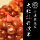 丹波篠山産熟成丹波栗 L以上混在 1kg