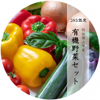 期間限定　丹波篠山市産採れたて有機野菜