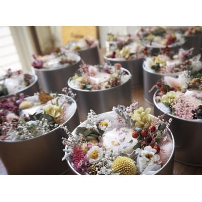 お花とサブレ