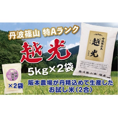 丹波篠山産　特Aランク　越　光　(5kg×2袋　精米)