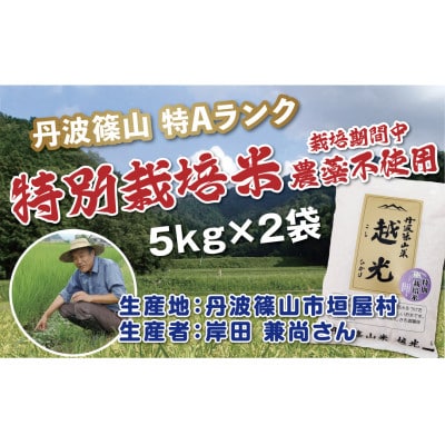 越光(栽培期間中農薬不使用)(5kg×2袋　精米)