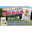 丹波篠山産　特Aランク　特別栽培米　越光(5kg×1袋　精米)