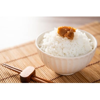 ご飯にピッタリ!昔ながらのすっぱい梅干し(白干梅)
