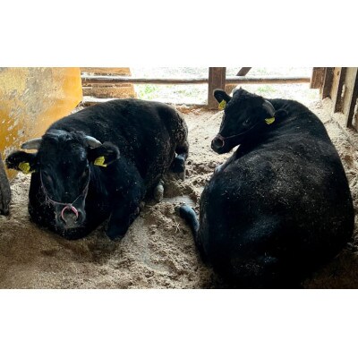 丹波篠山 肉の東門 牛至宝の【特選】赤身すき焼き肉　1kg×1P　牛脂付き