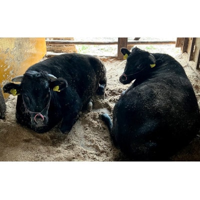 丹波篠山 肉の東門 牛至宝のサーロイン・ヘレステーキセット　5枚入