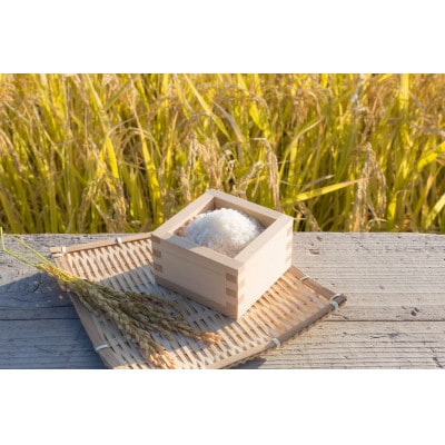 令和6年産!丹波篠山のこしひかり精米5kg
