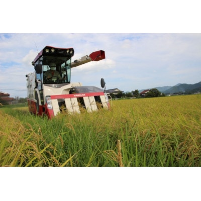 令和6年産!丹波篠山のこしひかり精米5kg